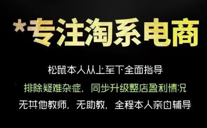 松鼠会电商VIP课程，从基础布局到高阶优化，助你掌握淘宝运营逻辑，提升店铺流量与转化（更新1022）